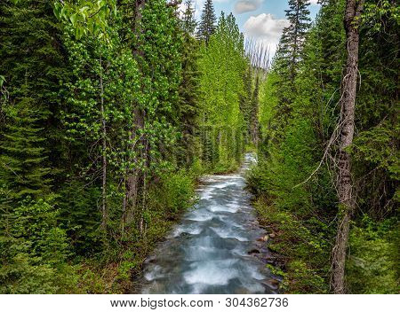 Canyon Creek From A Down Stream Perspective Flowing Towards The North Fork Of The Flathead River.