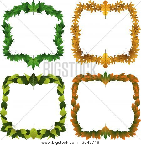 Leaf_Borders