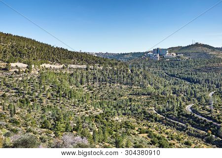 Forest Of Sataf West Of Jerusalem Israel. A Beautiful Area Of Hiking And Enjoying The Nature.