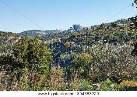 Forest Of Sataf West Of Jerusalem Israel. A Beautiful Area Of Hiking And Enjoying The Nature.