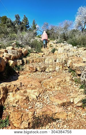 Forest Of Sataf West Of Jerusalem Israel. A Beautiful Area Of Hiking And Enjoying The Nature. Climb 