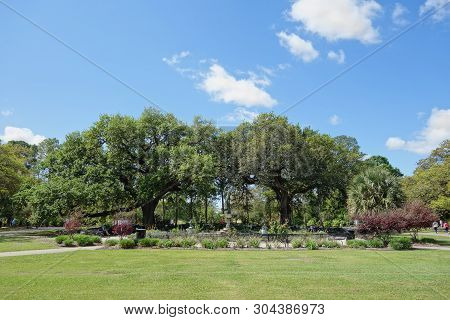 Audubon Park In New Orleans, A Popular Public City Park