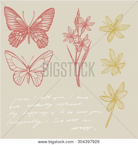 Butterflies Silhouettes. Butterfly Card Template On Romantic Ckground. Graphic Illustration. Handwri