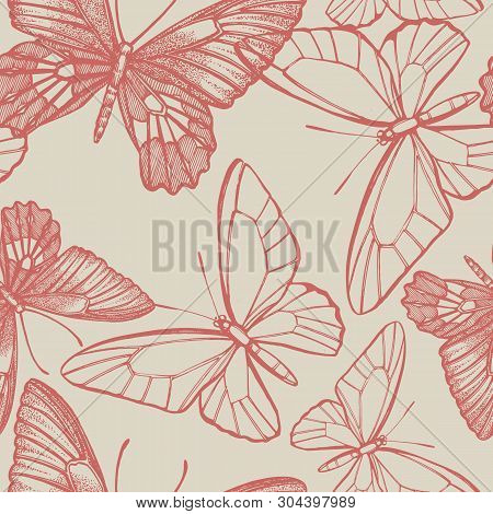 Butterflies Silhouettes. Butterfly Card Template On Romantic Ckground. Graphic Illustration. Seamles