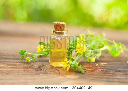Burclover Essential Oil In  Beautiful Bottle On White Background