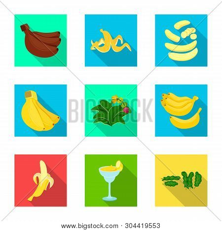 Isolated Object Of Natural And Vegetarian Symbol. Set Of Natural And Eating Vector Icon For Stock.