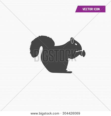 Squirrelicon Illustration Isolated Vector Sign Symbol. Animal Icon Vector.