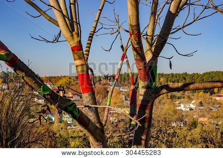 Tree In Knitted Clothes - Yarn Bombing (yarnbombing) In The City Of Borovsk. Russia