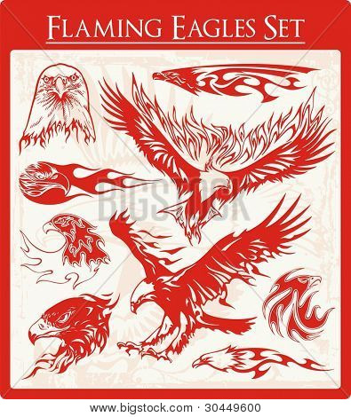 Vector set di illustrazioni di aquila fiammeggiante, grande per la grafica del veicolo, adesivi e decalcomanie di t-shirt.