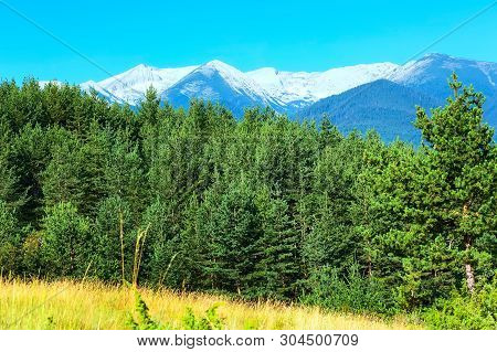 Summer Panorama Of Georgeos Pirin Mountains Landscape With Pine Trees And High Peaks, Bansko, Bulgar