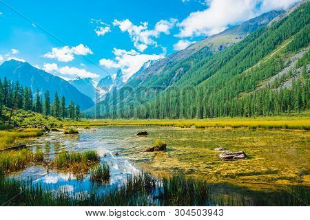 Beautiful Glacier Reflected In Mountain Pure Water With Plants On Bottom. Wonderful Lake With Snowy 