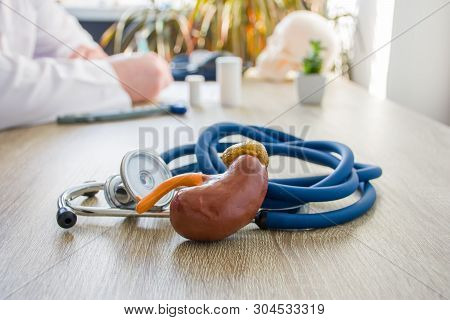 Concept Photo Of Diagnosis And Treatment Of Kidneys. In Foreground Is Model Of Kidney Near Stethosco