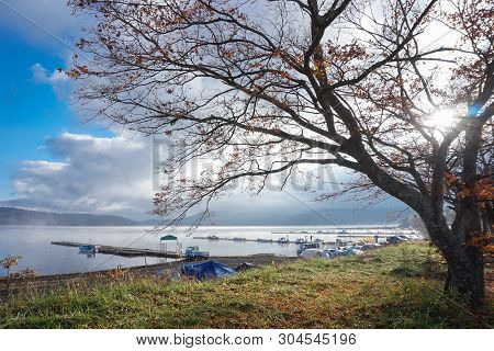 Lake Yamanaka,japan - November 16,2016 : Old Man Taking Photo At The Lake Yamanaka In The Early Morn