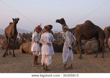 Pushkar, Inde - novembre 2011