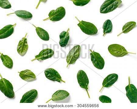 Pattern From Baby Spinach Leaves. Fresh Green Baby Spinach Isolated On White With Clipping Path. Top