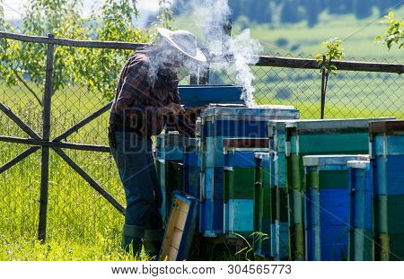 Miercurea Ciuc, Romania- 02 June 2019: Beekeper Wearing Mask, Using Smoker ,working With Honeybees A