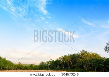 The Beautiful Garden In The Park With Green Pastures Green Trees And Blue Sky.
