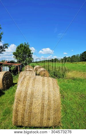 Big Straw Bales Under Blue Sky In Summer