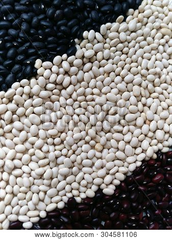 Abstract Background Of Multi-colored Beans, Lined With Stripes