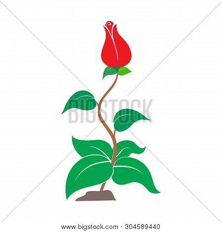 Flower Icon Isolated On White Background. Flower Icon Simple Sign. Flower Icon Trendy And Modern Sym