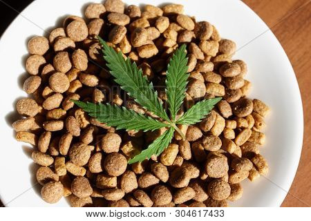 Treats For Dogs And Cats And Green Leaves Of Cannabis - Cbd And Medical Marijuana For Pets Concept