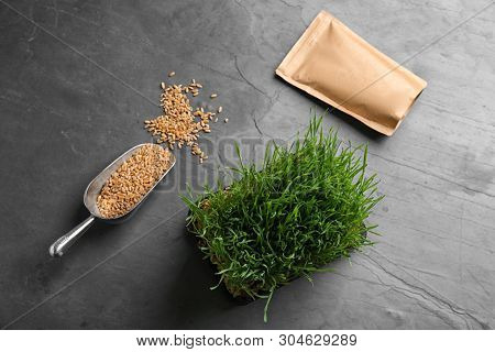 Flat Lay Composition With Wheat Grass, Paper Bag And Grains On Grey Table