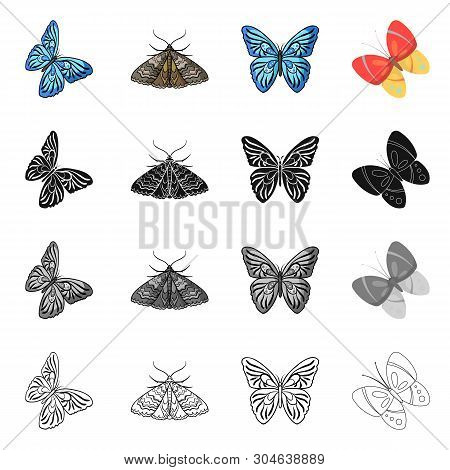 Vector Design Of Color And Spring Logo. Collection Of Color And Fly Stock Symbol For Web.