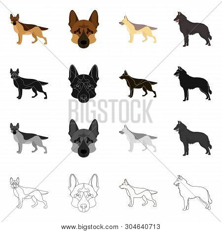 Vector Design Of Sheepdog And Sheltie Logo. Collection Of Sheepdog And Shepherd Stock Vector Illustr