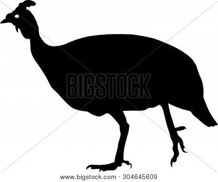 Guinea Fowl Bird Black Vector Silhouette Clip Art