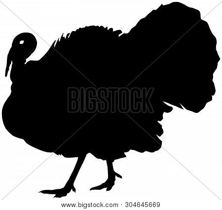 Turkey Black Vector Silhouette Clip Art Image
