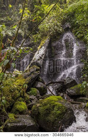 Waterfall Savegre River, Los Quetzales National Park San Gerardo De Dota, Costa Rica