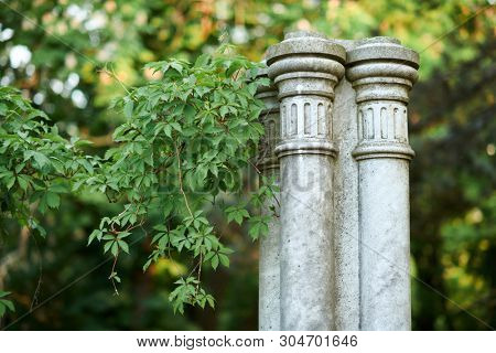 old white column in park, retro architecture, trees and leaves