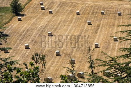 View Of  Farm Field With Hay Bales Near Sault, Provence, France