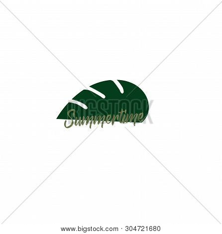 Flat Design Plant Icon - Leaf Of Tropical Monstera And Summer Time Summer Logo. Botany Style