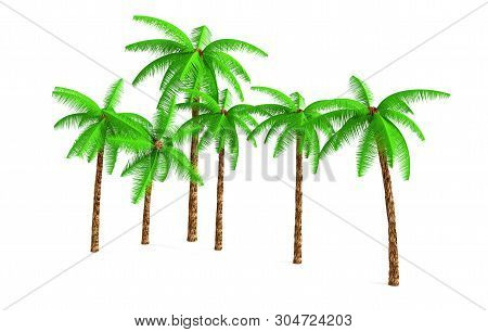 3d Rendering - A Tall Coconut Tree Isolated Over A White Background Use For Natural Poster Or Wallpa
