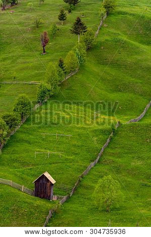 Diagonal Composition Of Raw Green Trees And A Barn In Bucovina, Romania