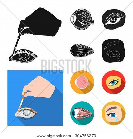 Vector Design Of Medical And Eyeball Icon. Collection Of Medical And Optical Vector Icon For Stock.