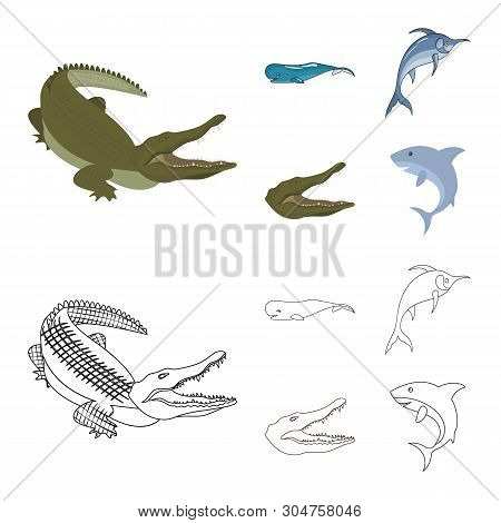 Vector Illustration Of Sea And Ocean Sign. Set Of Sea And Reptiles Stock Vector Illustration.
