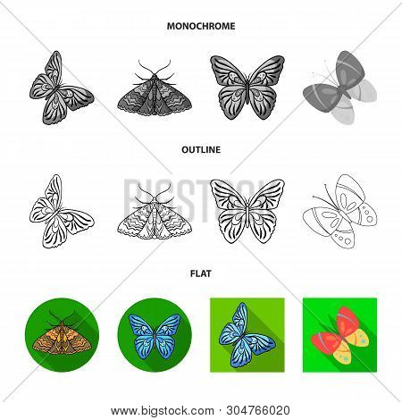 Vector Illustration Of Color And Spring Sign. Set Of Color And Fly Vector Icon For Stock.