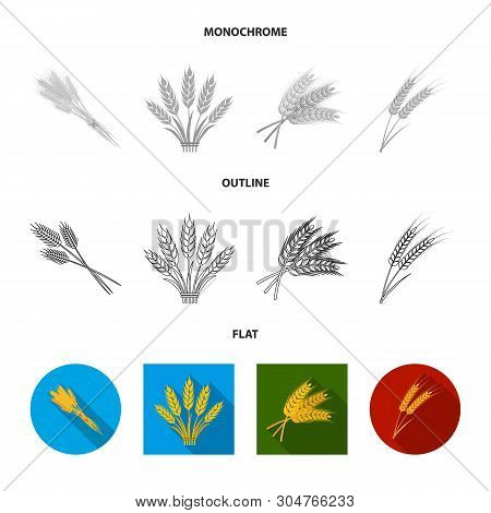 Isolated Object Of Wheat And Stalk Sign. Collection Of Wheat And Grain Stock Symbol For Web.