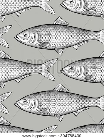 Herring fish seamless pattern background. Vintage engraving stylized drawing