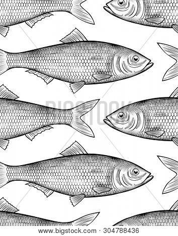 Herring fish seamless pattern background. Vintage engraving stylized drawing