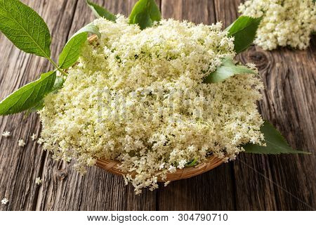 Freshl Elder Flowers In A Basket On A Table