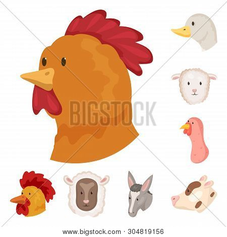 Vector Design Of Farm And Head Logo. Set Of Farm And Homemade Vector Icon For Stock.