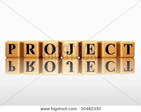 Golden Project With Reflection