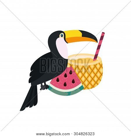 Pattern Of Toucan And Summer Flower Vector Illustration Design