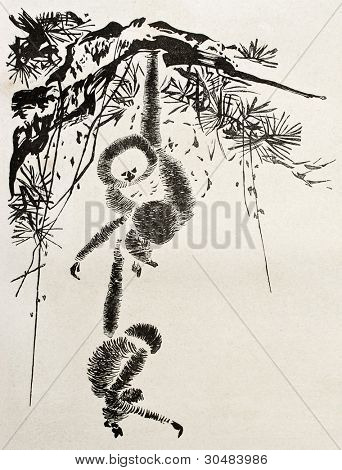 Opice mezi větvemi, staré stylizované ilustrace. Vytvořil(a) Díky, milá Lavínie po staré japonské gravírování do