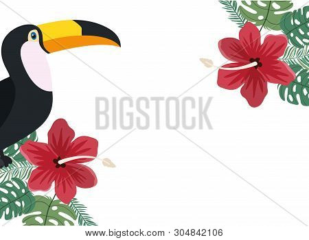 Pattern Of Toucan And Summer Flower Vector Illustration Design