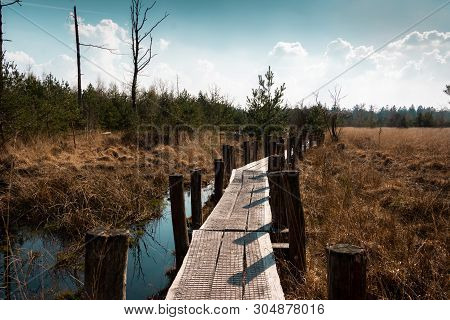 Hiking In The Netherlands, The Plank Route In The Province Drenthe Nearby Spier