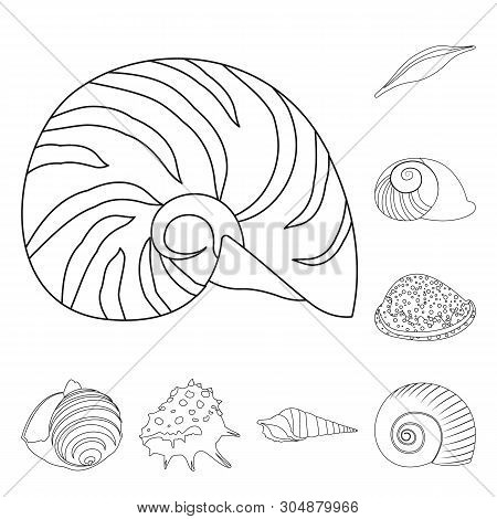Vector Design Of Exotic And Seafood  Logo. Set Of Exotic And Aquatic Vector Icon For Stock.